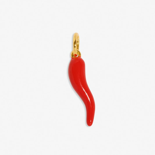 Luck And Protection' Medium Charm