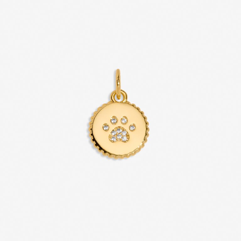 Pawfect' Small Charm In Gold-Tone Plating