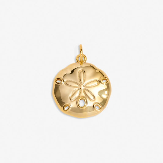 Sand Dollar' Medium Charm In Gold-Tone Plating