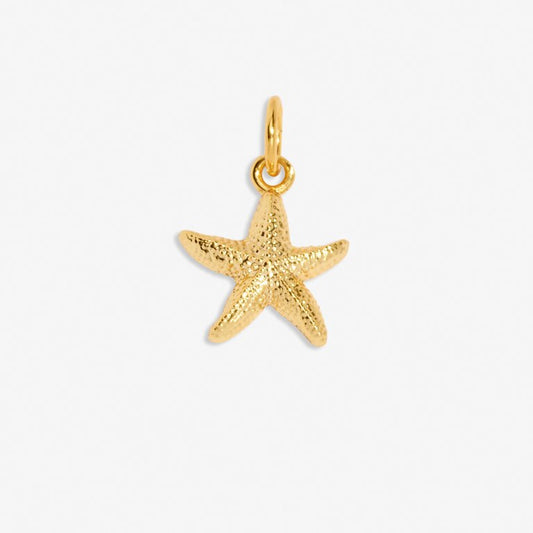 So Golden' Small Charm In Gold-Tone Plating